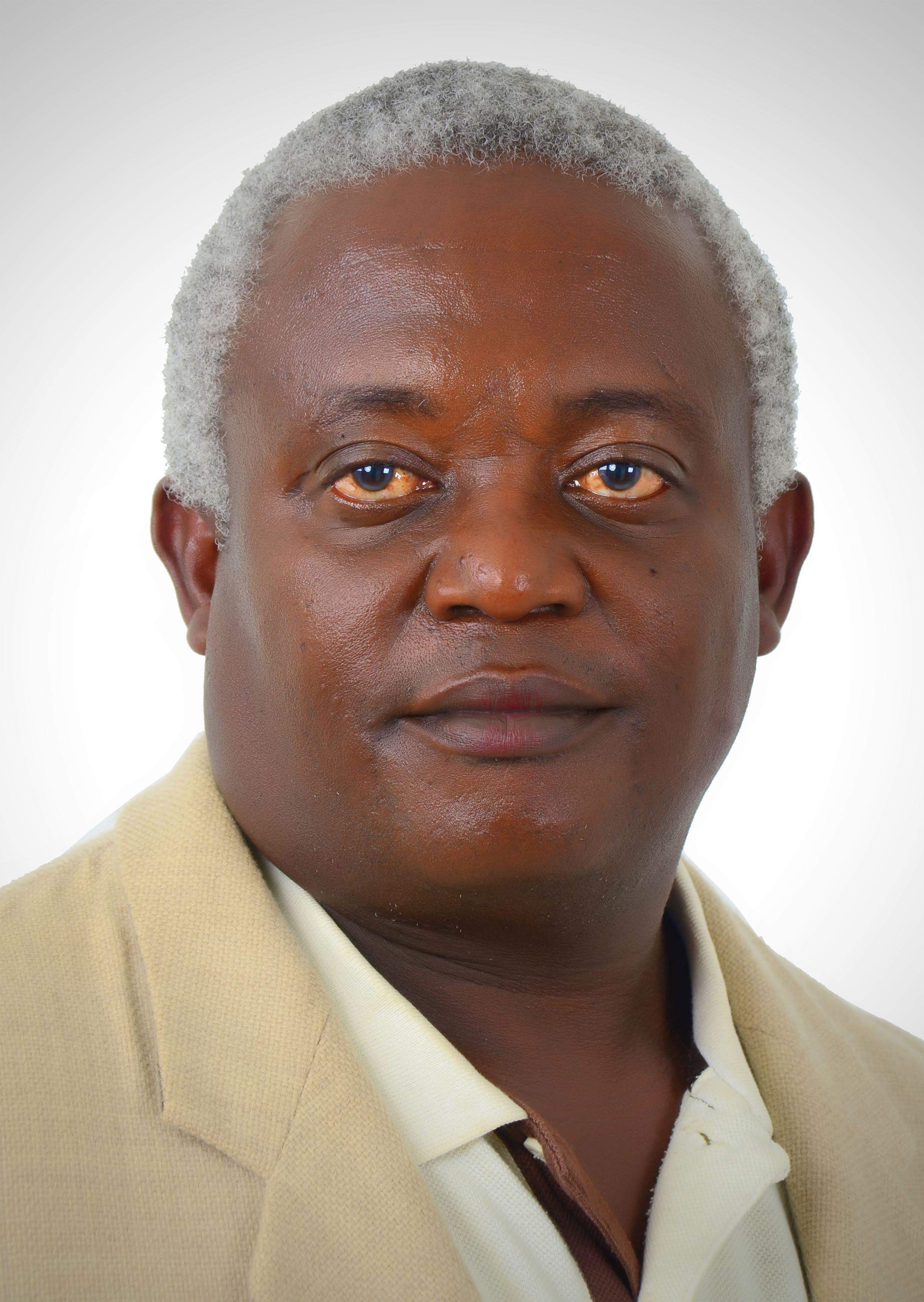 Harry M Mbevi